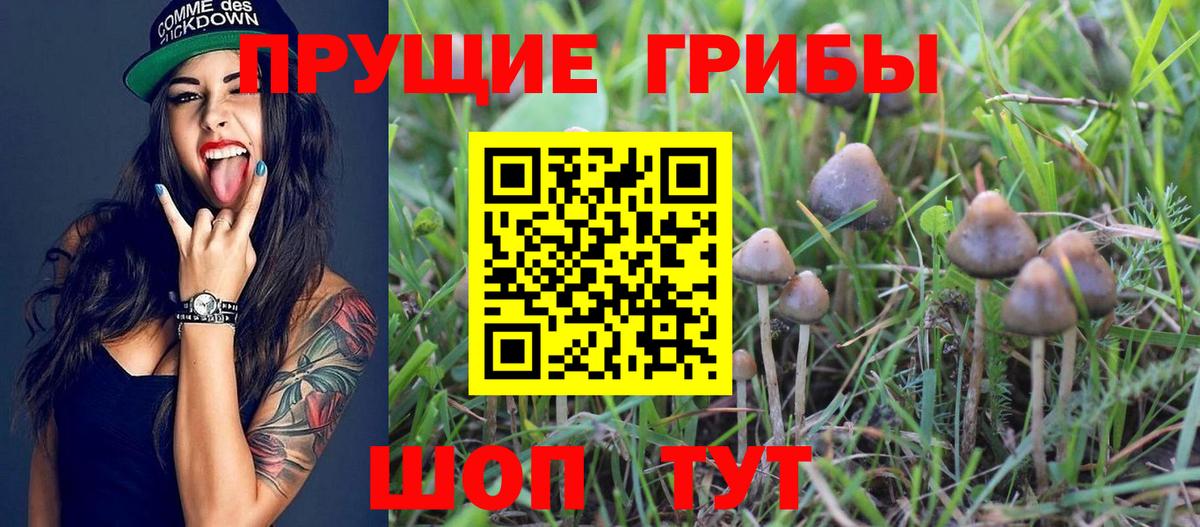 купить закладку  Псилоцибиновые грибы MAGIC MUSHROOMS  Вход с VPN  Нижневартовск 
